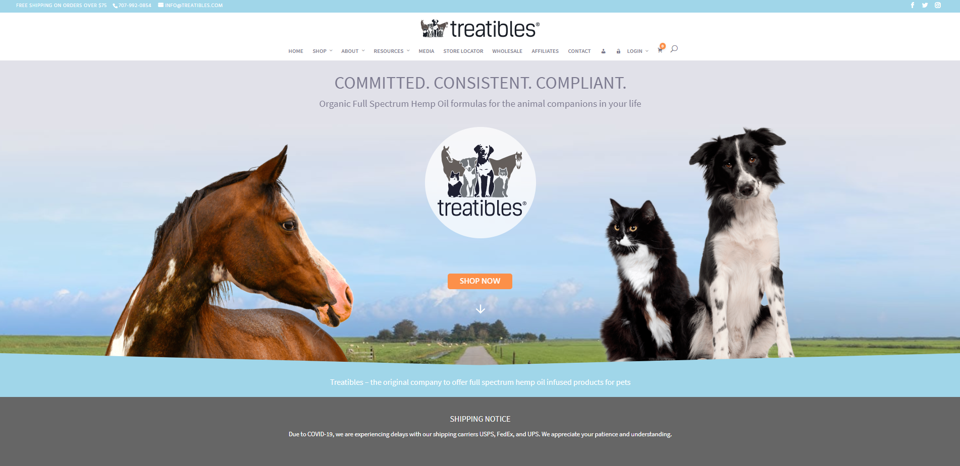 treatibles portfolio website