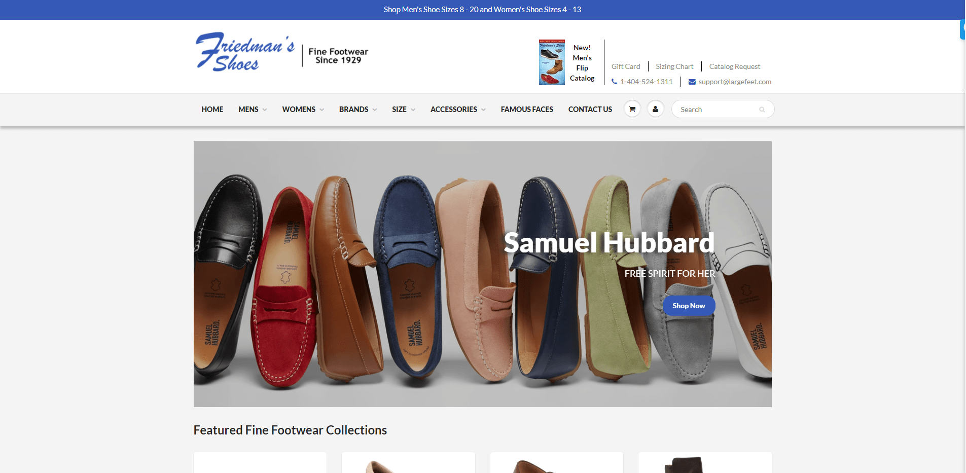 friedmans shoes portfolio website