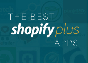 shopify plus Store development agency