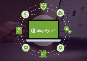 shopify plus Store experts 